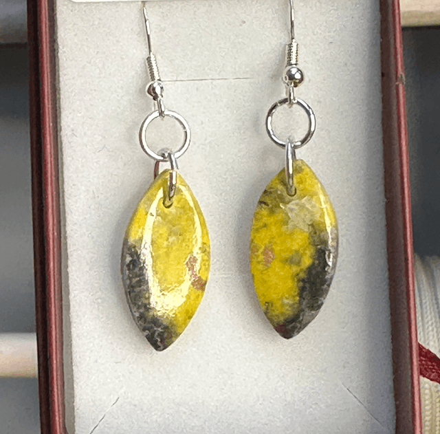 Bumblebee Jasper 925 silver wire hooked earrings 